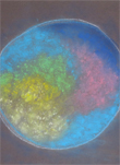 Bild Zeit zum Malen Mitte So 24: farbiges Kreisbild